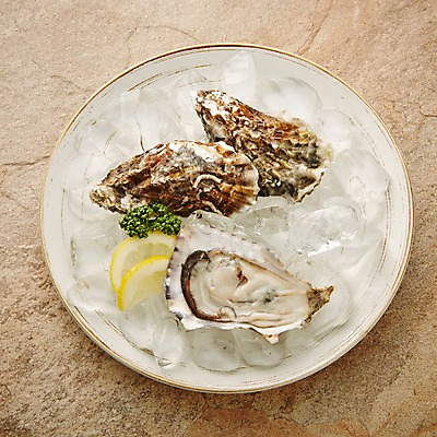 포토 JPG 스튜디오촬영 동물 그릇 식기 접시 음식 식재료 재료 어패류 실내 사람없음 얼음 껍질 굴 신선 세개 레몬 해산물 날것 국내포토 자연요소 과일 3 내부 파일형식