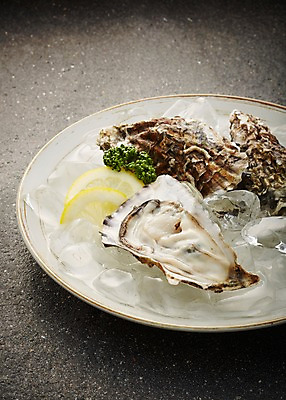 포토 JPG 스튜디오촬영 동물 그릇 식기 접시 음식 식재료 재료 어패류 실내 사람없음 얼음 껍질 굴 신선 세개 레몬 해산물 날것 국내포토 자연요소 과일 3 내부 파일형식