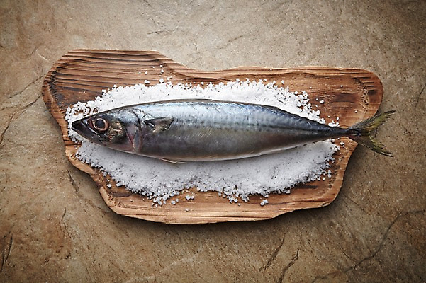 포토 JPG 스튜디오촬영 한마리 식재료 재료 실내 사람없음 신선 해산물 날것 소금 고등어 나무접시 갈색배경 국내포토 1 접시 백그라운드 어류 내부 갈색 파일형식