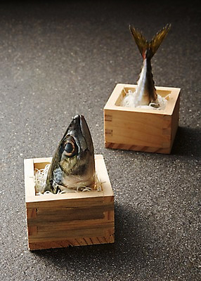 포토 JPG 스튜디오촬영 조각 식재료 재료 회색배경 실내 어류 근접촬영 사람없음 장식 머리 신선 나무상자 해산물 담기 꼬리 날것 고등어 토막 국내포토 뷰포인트 백그라운드 모션 내부 신체부위 상자 수중동물 회색 파일형식