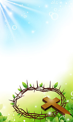 식물 기독교 종교 백그라운드 십자가 일러스트 하늘 부활절 사람없음 태양 반사 풀 가시면류관 국내일러스트 AI파일 자연요소 기념일 종교용품 파일형식 벡터
