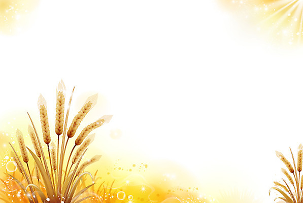 식물 기독교 종교 백그라운드 일러스트 하늘 부활절 사람없음 농작물 풀 보리 추수감사절 국내일러스트 AI파일 기념일 농업 곡류 파일형식 벡터