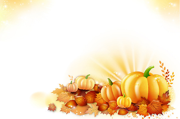 식물 기독교 종교 백그라운드 채소 일러스트 하늘 호박 나뭇잎 부활절 사람없음 풀 보리 추수감사절 국내일러스트 AI파일 기념일 잎 곡류 파일형식 벡터