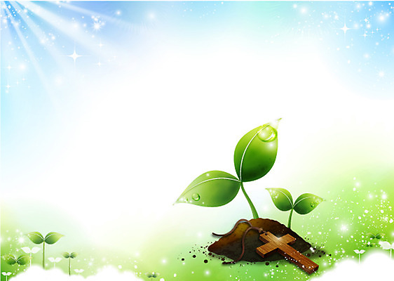 식물 기독교 종교 백그라운드 십자가 일러스트 하늘 부활절 사람없음 태양 반사 새싹 흙 풀 국내일러스트 AI파일 자연요소 기념일 파일형식 벡터