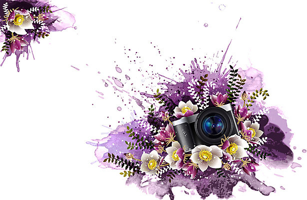 식물 꽃 컬러 백그라운드 잎 꽃백그라운드 일러스트 자연 정보기술 사람없음 카메라 퓨전 기념사진 복수초 국내일러스트 AI파일 기술 전자제품 생태계 파일형식 벡터