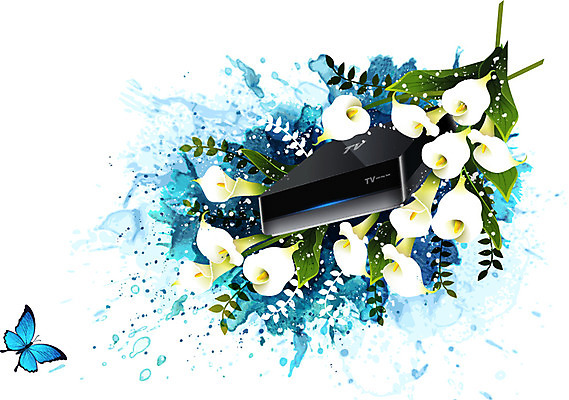 식물 동물 꽃 컬러 나비 곤충 백그라운드 잎 꽃백그라운드 일러스트 자연 정보기술 사람없음 전자제품 컴퓨터용품 텔레비전 장비 카라 퓨전 셋톱박스 국내일러스트 AI파일 기술 오브젝트 생태계 파일형식 벡터