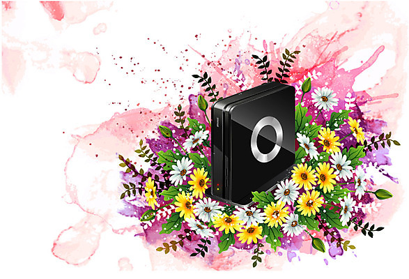 식물 꽃 컬러 백그라운드 잎 꽃백그라운드 일러스트 자연 정보기술 사람없음 전자제품 컴퓨터용품 퓨전 들국화 외장하드 하드디스크 국내일러스트 AI파일 기술 오브젝트 생태계 파일형식 벡터