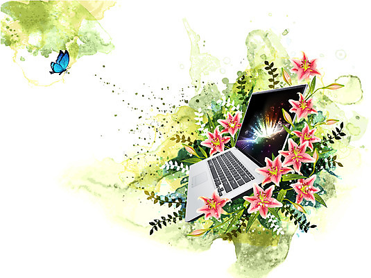 식물 동물 꽃 컬러 나비 곤충 백그라운드 잎 꽃백그라운드 일러스트 자연 정보기술 사람없음 노트북 전자제품 컴퓨터 퓨전 나리꽃 국내일러스트 AI파일 기술 생태계 파일형식 벡터