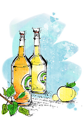 PSD 식물 식기 음료 음식 백그라운드 과일 라인일러스트 일러스트 유리병 나뭇잎 디저트 사람없음 컵 주스 나뭇가지 병 과일주스 국내일러스트 나무 잎 병_용기 파일형식