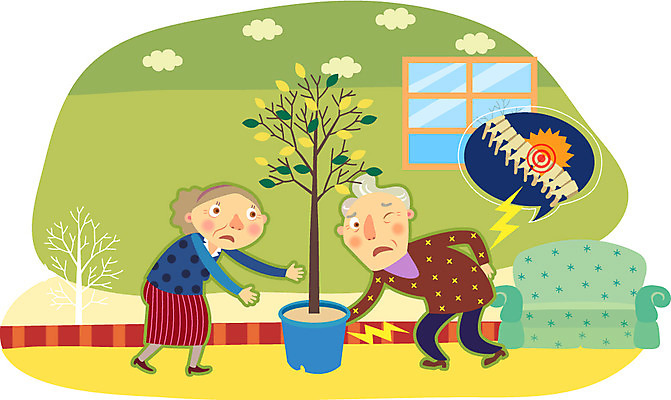 전신 나무 식물 구름 라이프스타일 부부 커플 여자 할아버지 노년 남자 화분 할머니 의자 일러스트 창문 건강 관리 서기 사람 성인 두명 라이프 실버라이프 노후 소파 건강관리 노부부 고통 디스크 실버 보호 질병 위험 허리 질병관리 노인만 국내일러스트 AI파일 자연요소 감정 가구 컨셉 의학 관계 모션 생활 신체부위 성인만 파일형식 벡터
