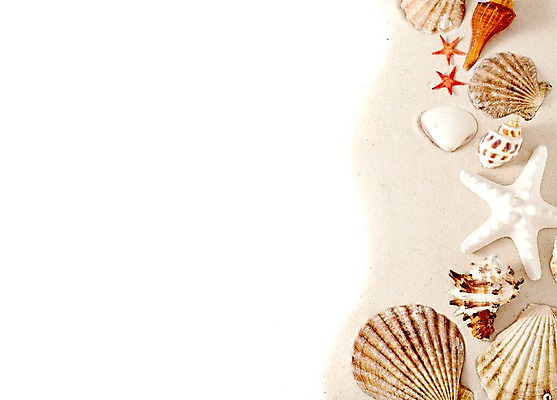 포토 JPG 스튜디오촬영 모래 백그라운드 불가사리 실내 종류 풍경 사람없음 여름 조개껍데기 소라 오브젝트 가리비 국내포토 계절 조개 어패류 극피동물 내부 파일형식