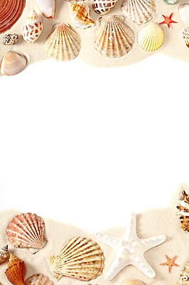 포토 JPG 스튜디오촬영 모래 백그라운드 조개 불가사리 안내 프레임 실내 종류 틀 풍경 사람없음 여름 조개껍데기 소라 알림 오브젝트 가리비 국내포토 계절 어패류 극피동물 내부 파일형식