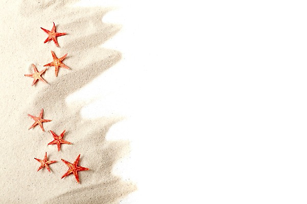 포토 JPG 스튜디오촬영 모래 백그라운드 불가사리 실내 풍경 사람없음 여름 오브젝트 국내포토 계절 극피동물 내부 파일형식