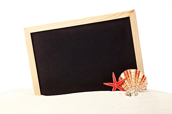 포토 JPG 스튜디오촬영 모래 백그라운드 조개 불가사리 안내 프레임 실내 틀 풍경 사람없음 여름 칠판 조개껍데기 알림 오브젝트 가리비 국내포토 계절 어패류 극피동물 내부 파일형식