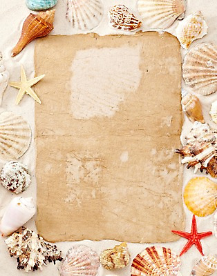 포토 JPG 스튜디오촬영 백그라운드 조개 불가사리 안내 프레임 실내 틀 풍경 사람없음 여름 조개껍데기 소라 알림 오브젝트 가리비 국내포토 계절 어패류 극피동물 내부 파일형식