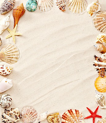 포토 JPG 스튜디오촬영 모래 백그라운드 조개 불가사리 안내 프레임 실내 틀 풍경 사람없음 여름 조개껍데기 소라 알림 오브젝트 가리비 국내포토 계절 어패류 극피동물 내부 파일형식