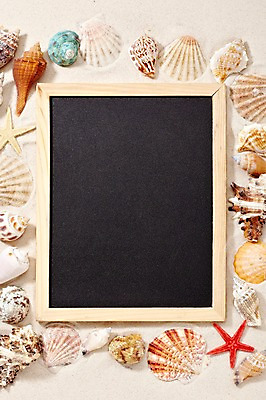 포토 JPG 스튜디오촬영 모래 백그라운드 조개 불가사리 안내 프레임 실내 틀 풍경 사람없음 여름 칠판 조개껍데기 소라 알림 오브젝트 가리비 국내포토 계절 어패류 극피동물 내부 파일형식