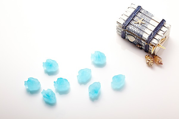 포토 JPG 스튜디오촬영 계절 백그라운드 휴가 조개 불가사리 바캉스용품 실내 풍경 사람없음 여름 여름휴가 바캉스 상자 얼음 소라 오브젝트 보물상자 얼음조각 국내포토 자연요소 어패류 극피동물 내부 파일형식 여름_계절