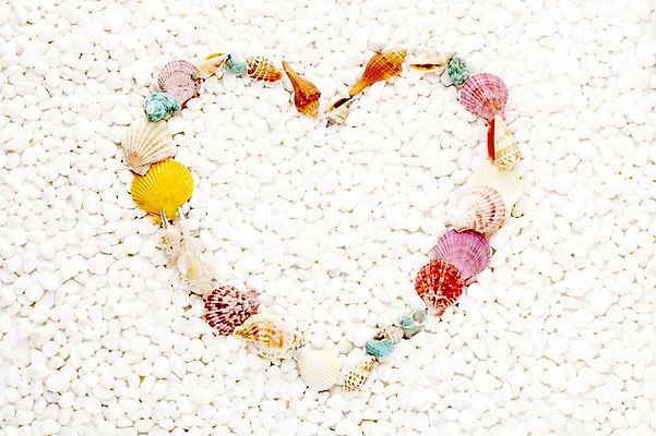 포토 JPG 스튜디오촬영 모양 계절 백그라운드 휴가 조개 안내 프레임 바캉스용품 실내 틀 풍경 근접촬영 사람없음 여름 여름휴가 바캉스 돌_바위 조약돌 하트 조개껍데기 소라 알림 오브젝트 국내포토 뷰포인트 어패류 내부 파일형식 여름_계절