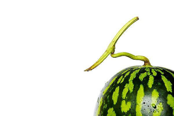 포토 JPG 스튜디오촬영 열매 컬러 과일 식재료 표면 여름음식 수박 실내 누끼 근접촬영 사람없음 초록색 물 농작물 껍질 물방울 달콤 시원함 제철음식 제철과일 과채 국내포토 자연요소 식물 음식 뷰포인트 농업 채소 내부 맛 제철 파일형식 여름_계절