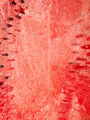 포토 JPG 스튜디오촬영 열매 컬러 백그라운드 과일 식재료 여름음식 수박 실내 근접촬영 사람없음 빨간색 농작물 달콤 시원함 수박씨 제철음식 제철과일 과채 국내포토 식물 음식 뷰포인트 농업 채소 씨앗 내부 맛 제철 파일형식 여름_계절