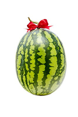 포토 JPG 스튜디오촬영 열매 리본 컬러 과일 식재료 표면 여름음식 수박 실내 누끼 사람없음 장식 초록색 농작물 껍질 끈 달콤 시원함 한통 제철음식 제철과일 과채 국내포토 식물 1 음식 농업 채소 내부 맛 제철 파일형식 여름_계절