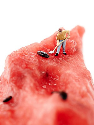 포토 JPG 스튜디오촬영 열매 인형 컬러 과일 식재료 여름음식 수박 실내 들기 누끼 근접촬영 사람없음 아웃포커스 빨간색 농작물 장난감 미니어처 피규어 달콤 시원함 삽 수박씨 광부 제철음식 제철과일 과채 국내포토 식물 직업 음식 뷰포인트 농업 채소 모션 촬영기법 씨앗 내부 모형 맛 제철 파일형식 여름_계절