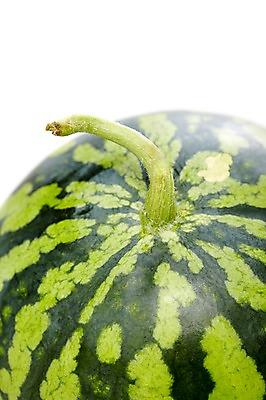 포토 JPG 스튜디오촬영 열매 컬러 과일 식재료 표면 여름음식 수박 실내 누끼 근접촬영 사람없음 아웃포커스 초록색 농작물 껍질 달콤 시원함 제철음식 제철과일 과채 국내포토 식물 음식 뷰포인트 농업 채소 촬영기법 내부 맛 제철 파일형식 여름_계절