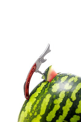 포토 JPG 스튜디오촬영 열매 컬러 생활용품 과일 식재료 표면 여름음식 수박 실내 누끼 사람없음 빨간색 초록색 농작물 껍질 달콤 시원함 오브젝트 슬라이스 병따개 와인오프너 제철음식 제철과일 과채 국내포토 식물 음식 농업 채소 내부 맛 제철 파일형식 여름_계절