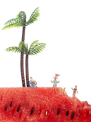 포토 JPG 스튜디오촬영 나무 식물 열매 수영복 인형 컬러 과일 식재료 여름음식 수박 실내 누끼 사람없음 빨간색 농작물 야자수 장난감 미니어처 피규어 파라솔 달콤 시원함 선베드 수박씨 제철음식 제철과일 과채 국내포토 옷 음식 농업 채소 의자 씨앗 내부 모형 맛 제철 파일형식 여름_계절