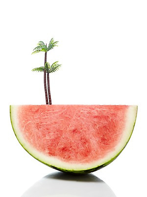 포토 JPG 스튜디오촬영 나무 식물 열매 컬러 과일 식재료 단면 여름음식 수박 실내 누끼 사람없음 빨간색 농작물 야자수 달콤 시원함 슬라이스 제철음식 제철과일 과채 국내포토 음식 농업 채소 내부 맛 제철 파일형식 여름_계절