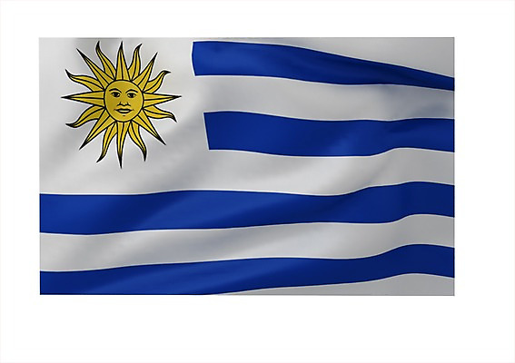 PSD 편집이미지 문양 나라 상징 컬러 백그라운드 무늬 사람없음 그래픽 파란색 태양 노란색 3D소스 3D 줄무늬 흰색 깃발 남아메리카 국기 입체 우루과이 우루과이국기 편집소스 편집3D 자연요소 아메리카 디지털합성 파일형식