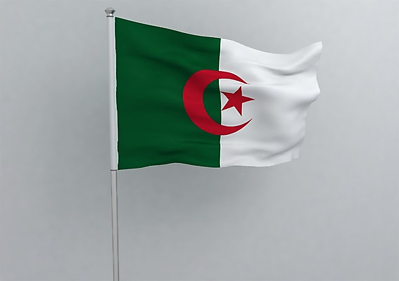 PSD 편집이미지 문양 나라 별 상징 백그라운드 무늬 사람없음 그래픽 3D소스 3D 달 깃발 국기 입체 깃대 알제리 알제리국기 편집소스 편집3D 자연요소 아프리카 디지털합성 파일형식