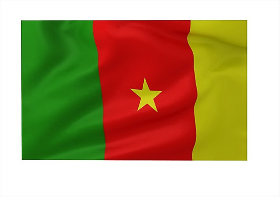 PSD 편집이미지 문양 나라 별 상징 컬러 백그라운드 무늬 아프리카 사람없음 그래픽 빨간색 초록색 노란색 3D소스 3D 줄무늬 깃발 국기 입체 삼색기 세로줄 카메룬 카메룬국기 편집소스 편집3D 자연요소 선 디지털합성 파일형식