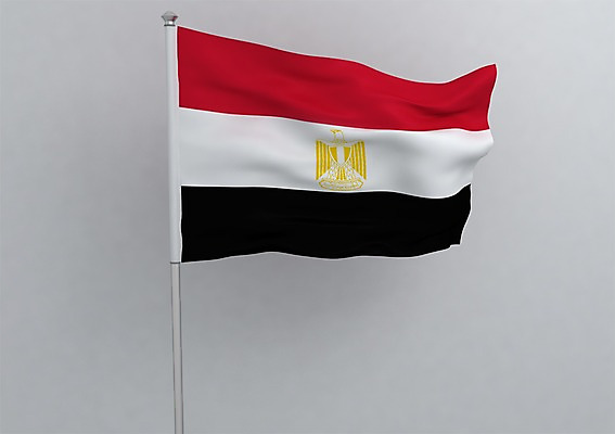 PSD 동물 편집이미지 문양 나라 상징 컬러 백그라운드 무늬 아프리카 조류 이집트 사람없음 그래픽 빨간색 3D소스 3D 검은색 줄무늬 흰색 깃발 국기 입체 독수리 깃대 삼색기 이집트국기 편집소스 편집3D 디지털합성 파일형식