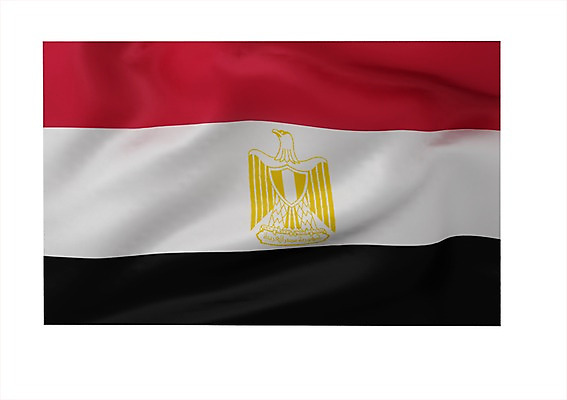 PSD 동물 편집이미지 문양 나라 상징 컬러 백그라운드 무늬 아프리카 조류 이집트 사람없음 그래픽 빨간색 3D소스 3D 검은색 줄무늬 흰색 깃발 국기 입체 독수리 삼색기 이집트국기 편집소스 편집3D 디지털합성 파일형식