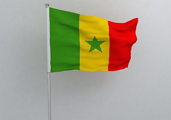 PSD 편집이미지 문양 나라 별 상징 컬러 백그라운드 무늬 아프리카 사람없음 그래픽 빨간색 초록색 노란색 3D소스 3D 줄무늬 깃발 국기 입체 깃대 삼색기 세로줄 세네갈 세네갈국기 편집소스 편집3D 자연요소 선 디지털합성 파일형식