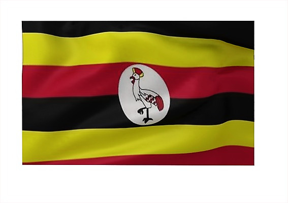 PSD 동물 편집이미지 문양 나라 상징 백그라운드 무늬 아프리카 조류 사람없음 그래픽 3D소스 3D 줄무늬 깃발 국기 입체 우간다 우간다국기 편집소스 편집3D 디지털합성 파일형식