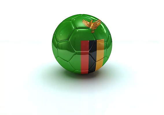 PSD 동물 편집이미지 문양 나라 상징 백그라운드 무늬 공 아프리카 조류 사람없음 그래픽 3D소스 3D 깃발 국기 입체 독수리 잠비아 잠비아국기 편집소스 편집3D 디지털합성 파일형식