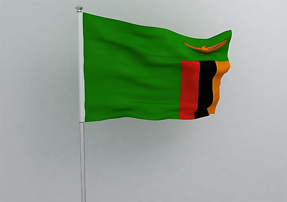 PSD 동물 편집이미지 문양 나라 상징 백그라운드 무늬 아프리카 조류 사람없음 그래픽 3D소스 3D 깃발 국기 입체 독수리 깃대 잠비아 잠비아국기 편집소스 편집3D 디지털합성 파일형식