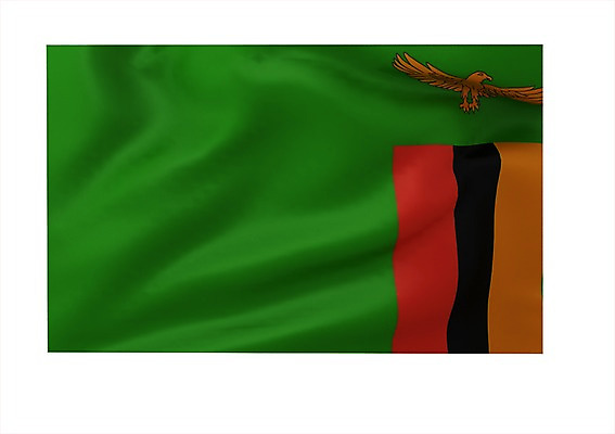 PSD 동물 편집이미지 문양 나라 상징 백그라운드 무늬 아프리카 조류 사람없음 그래픽 3D소스 3D 깃발 국기 입체 독수리 잠비아 잠비아국기 편집소스 편집3D 디지털합성 파일형식