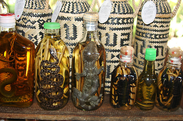 포토 JPG 동물 해외풍경 해외 아시아 음식 파충류 술병 유리병 사람없음 뱀 병 전갈 도마뱀 라오스 뱀술 국내포토 식기 나라 절지류 병_용기 주류 풍경 파일형식