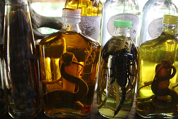 포토 JPG 동물 해외풍경 해외 아시아 음식 파충류 술병 유리병 사람없음 뱀 병 전갈 도마뱀 라오스 뱀술 국내포토 식기 나라 절지류 병_용기 주류 풍경 파일형식