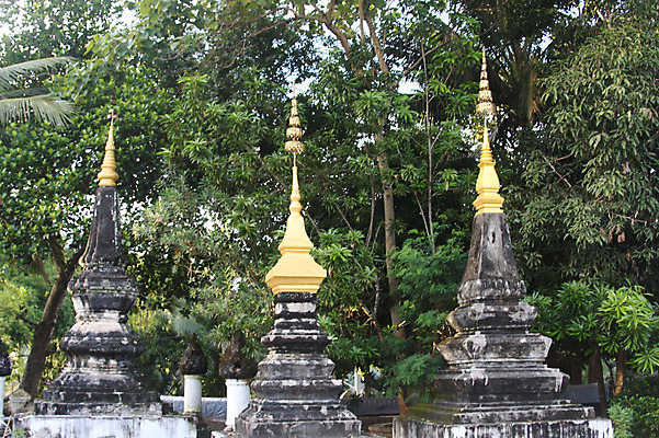 포토 JPG 주간 나무 식물 해외풍경 해외 건축물 아시아 종교 불교 종교시설 풍경 사람없음 야외 탑 사찰 사원 석탑 라오스 불탑 국내포토 자연요소 건축 나라 비즈니스 종교건축 시설 파일형식