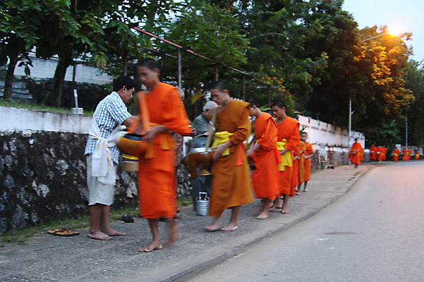 포토 JPG 주간 외국인 나무 식물 해외풍경 해외 아시아 종교 도로 길 가로등 불교 거리 사람 동양인 풍경 여러명 야외 도시 승려 라오스 국내포토 자연요소 공공시설 나라 다수 교통시설 인종 성직자 파일형식