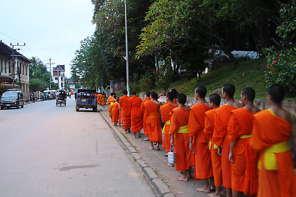 포토 JPG 주간 외국인 나무 식물 해외풍경 해외 아시아 종교 도로 길 불교 자동차 거리 사람 동양인 풍경 여러명 야외 건물 차도 도시 승려 라오스 국내포토 자연요소 건축물 나라 육상교통 다수 교통시설 인종 성직자 파일형식