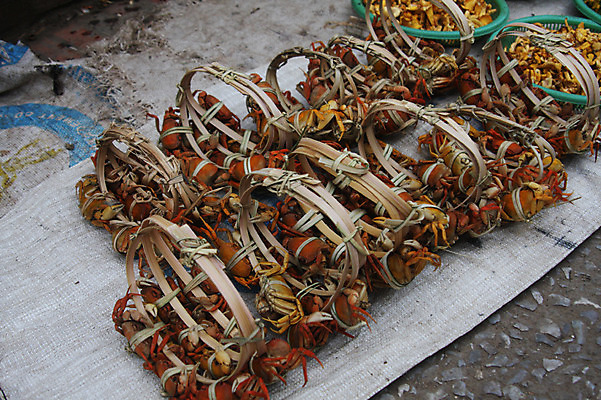포토 JPG 주간 해외풍경 해외 아시아 음식 식재료 사람없음 야외 판매 바구니 꽃게 게 시장 묶기 해산물 라오스 재래시장 노점 국내포토 자연요소 나라 모션 갑각류 풍경 상점 파일형식