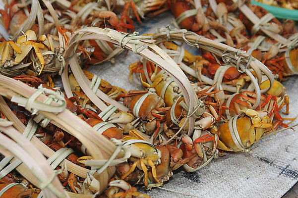 포토 JPG 해외풍경 해외 아시아 음식 식재료 근접촬영 사람없음 아웃포커스 판매 꽃게 게 시장 묶기 해산물 라오스 재래시장 노점 국내포토 나라 뷰포인트 모션 촬영기법 갑각류 풍경 상점 파일형식