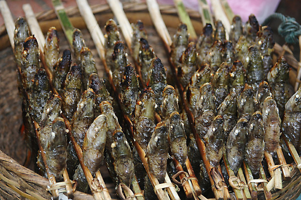 포토 JPG 해외풍경 해외 아시아 요리 근접촬영 사람없음 아웃포커스 바구니 해물요리 꼬치 시장 해산물 생선구이 라오스 재래시장 꼬치구이 국내포토 나라 음식 뷰포인트 촬영기법 풍경 구이 생선요리 파일형식