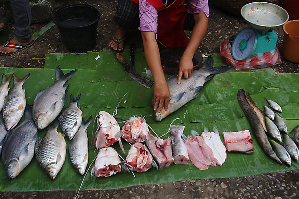 포토 JPG 주간 해외풍경 해외 여자 아시아 식재료 발 저울 어류 한명 앉기 상반신 성인 야외 신체부위 시장 칼 상인 재료손질 해산물 라오스 재래시장 손질 노점 생선가게 전통시장 성인여자한명만 국내포토 자연요소 1 전통 나라 모션 사람 풍경 상점 수중동물 여자한명만 성인여자만 파일형식